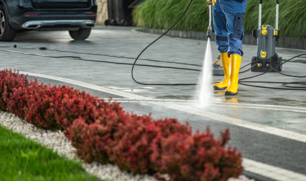 Best Dumpster Area Cleaning  in Youngstown, NY